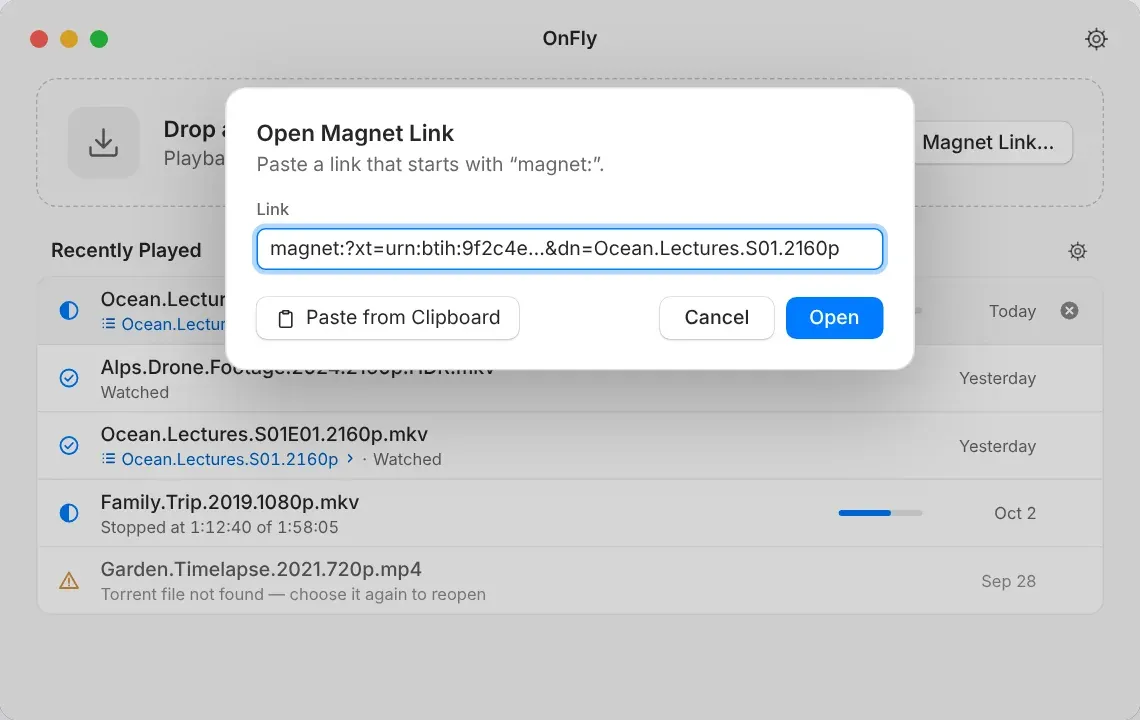 OnFly Open Magnet Link sheet with a field for a magnet link