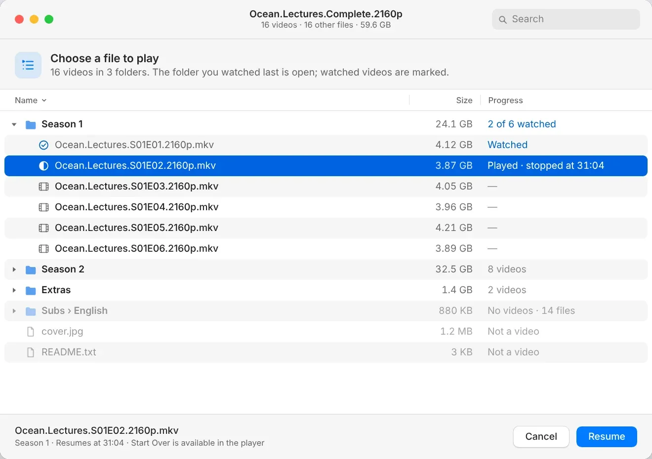 OnFly file chooser listing the videos in a multi-file torrent, with watched markers and a Resume button